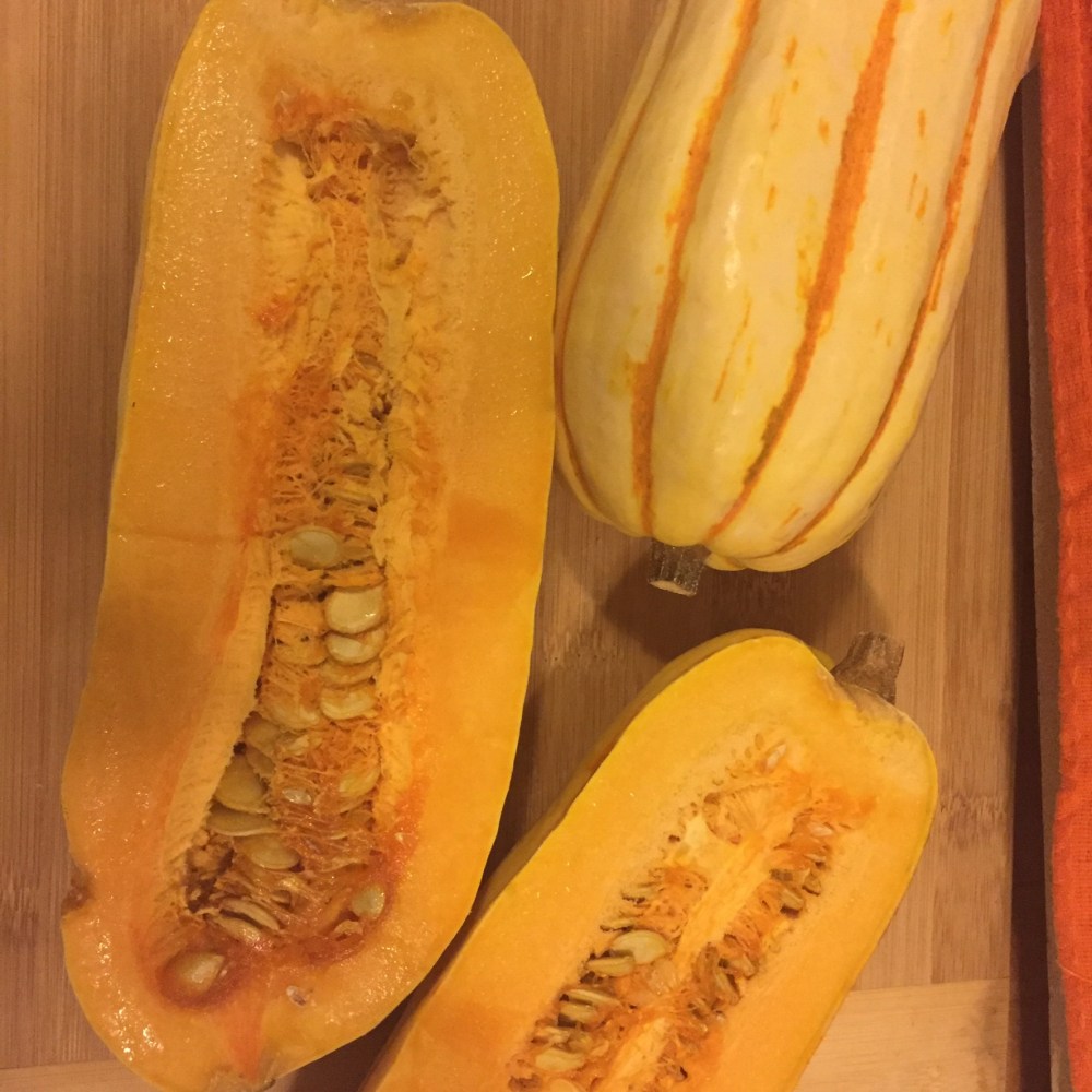 delicata 1